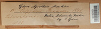 Image Associated With the Occurence